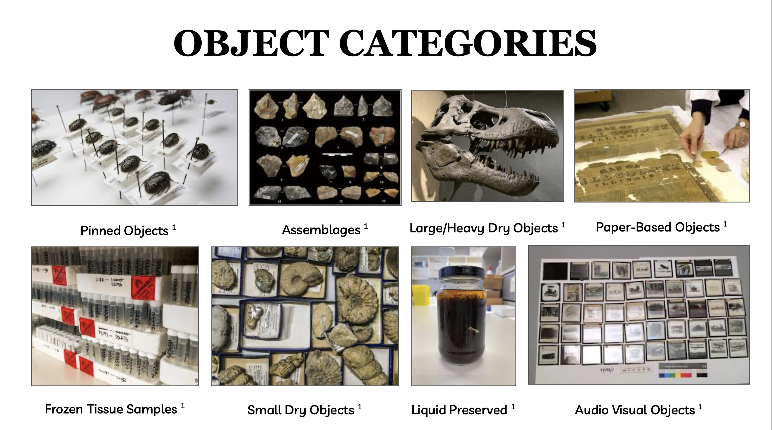 Object Categories: Pinned Objects, Assemblages, Large/Heavy Dry Objects, Paper Based Objects, Frozen Tissue Samples, Small Dry Objects, Liquid Preserved Objects, and Audio Visual Objects